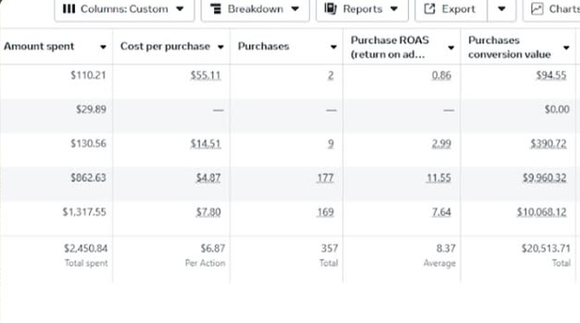 Meta Ads Manager campaign 2
